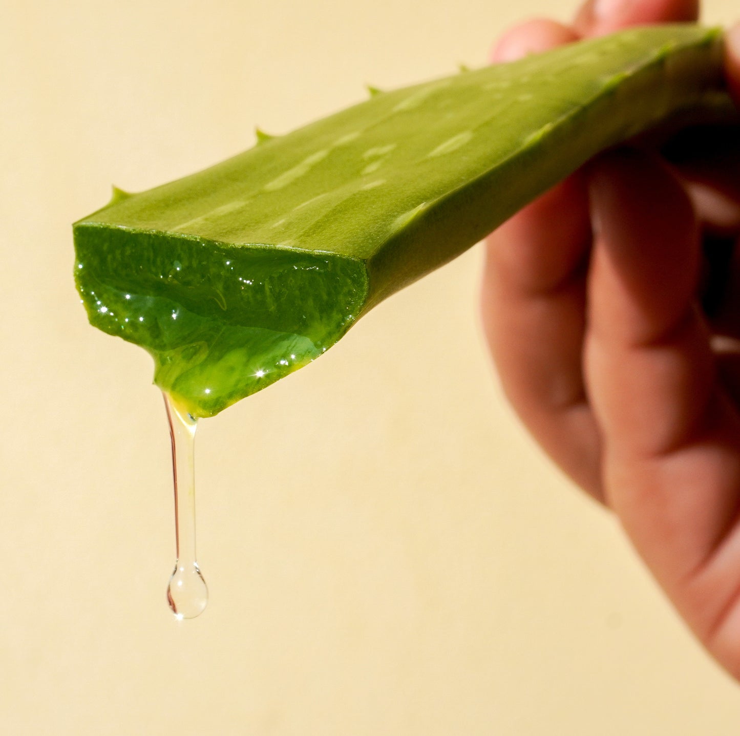 BIO ALOE VERA GEL