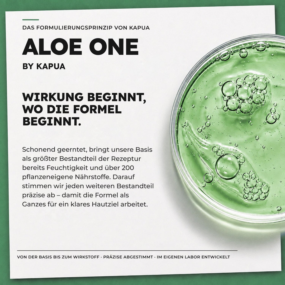 ALOE ONE by Kapua – Formulierungsprinzip des Bio Vitamin C Serums