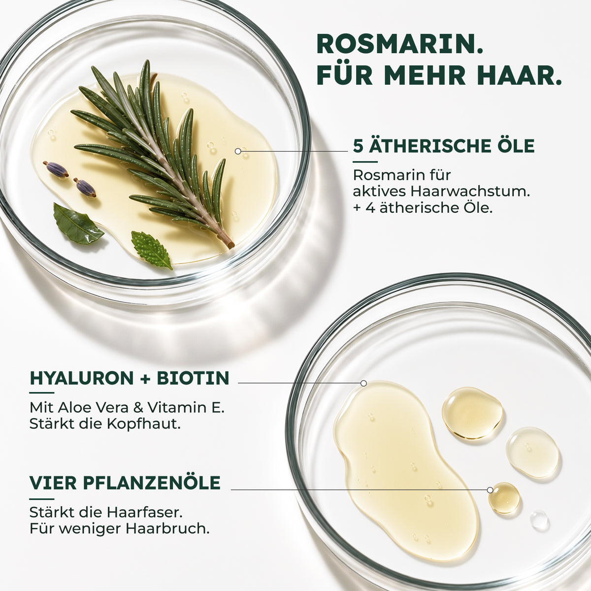 BIO ROSMARIN HAARÖL
