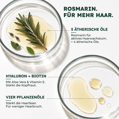 BIO ROSMARIN HAARÖL