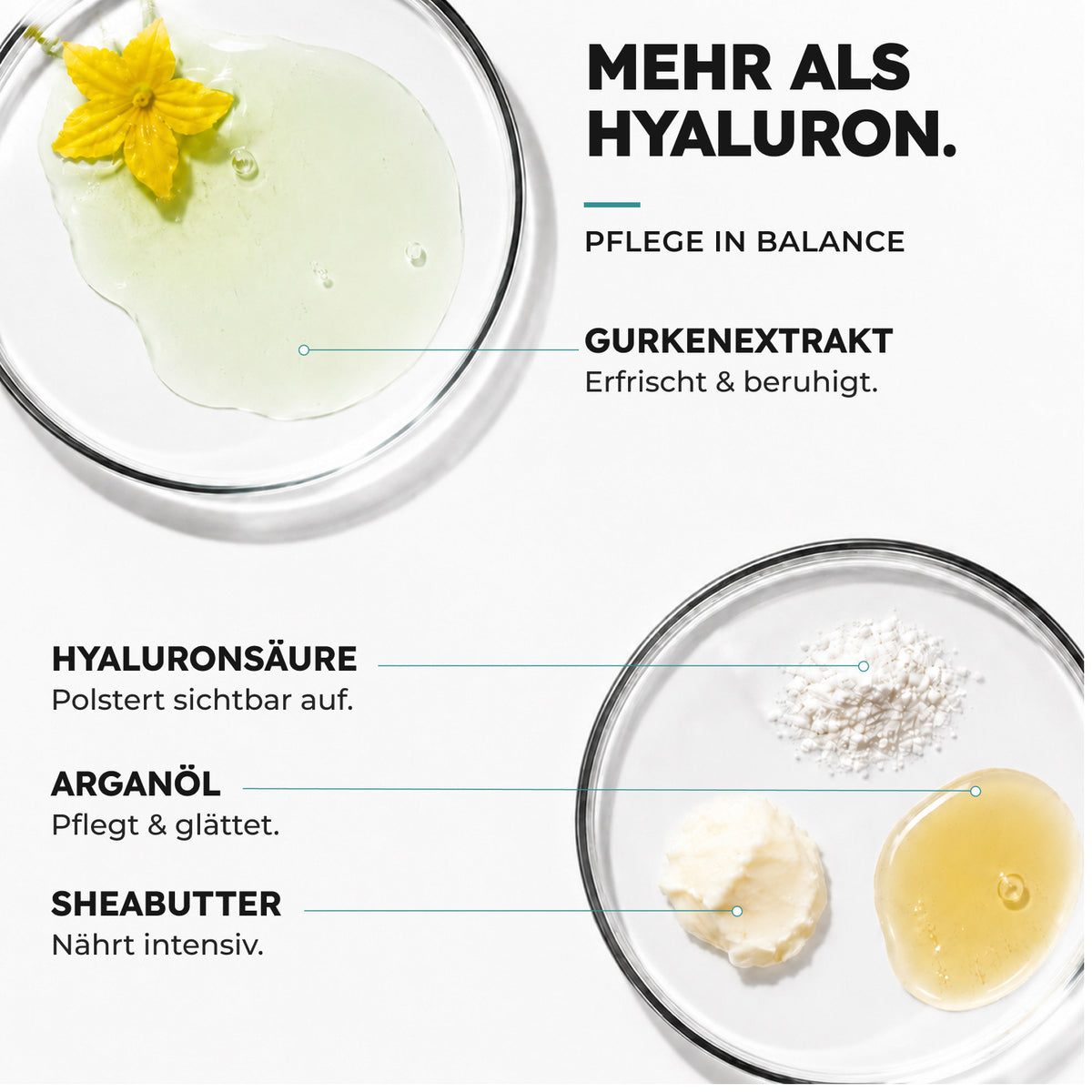 Gurkenextrakt, Hyaluronsäure, Arganöl und Sheabutter in der BIO HYALURON CREME