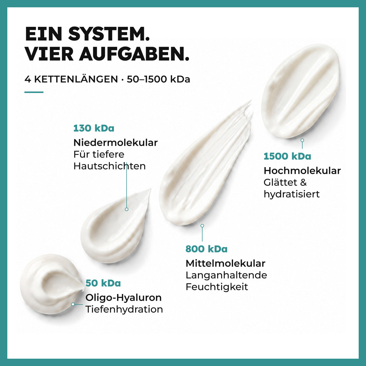 Vier Hyaluronsäure-Kettenlängen von 50 bis 1500 kDa