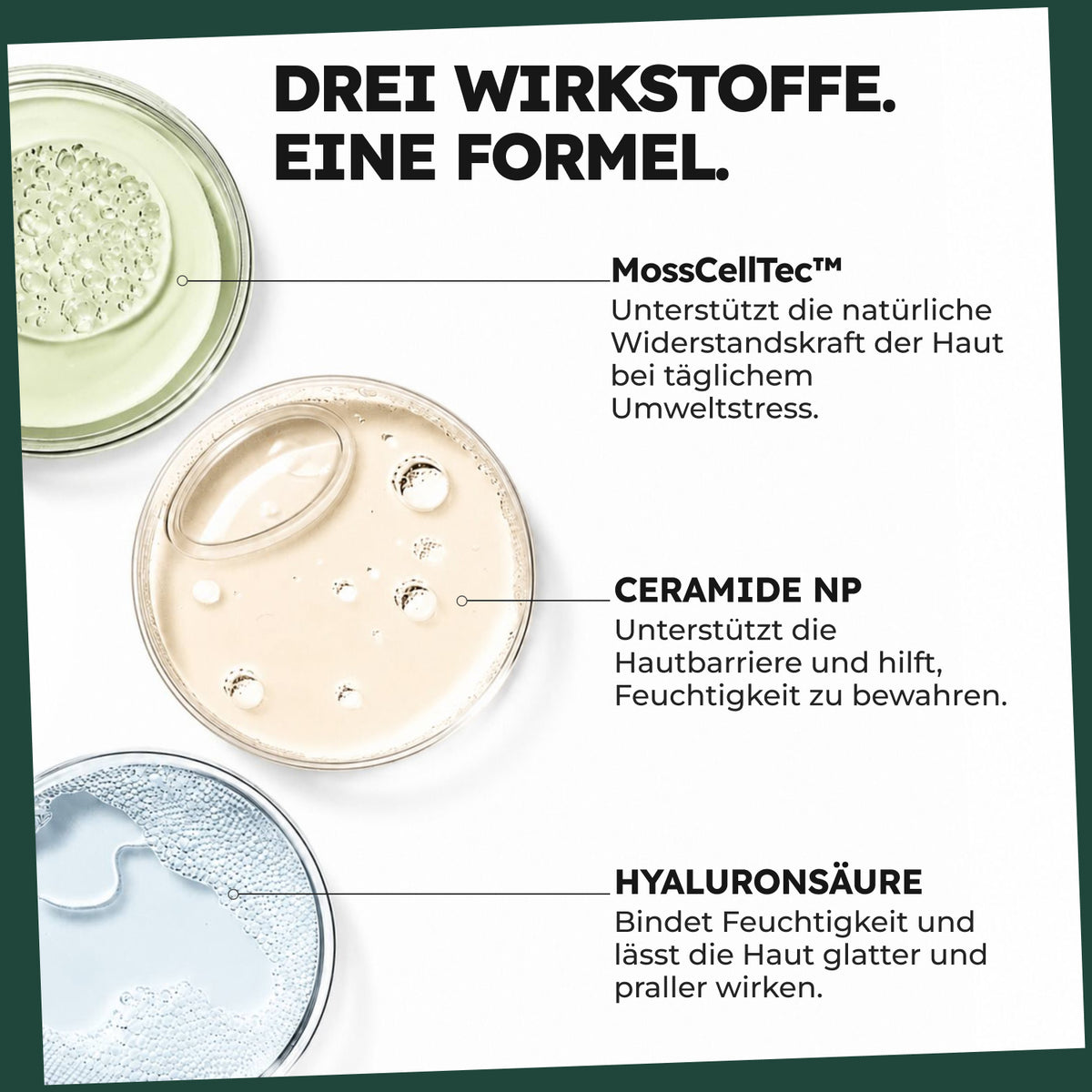 Moos, Ceramide und Hyaluron in drei Petrischalen mit Erläuterungen zur Pflegewirkung