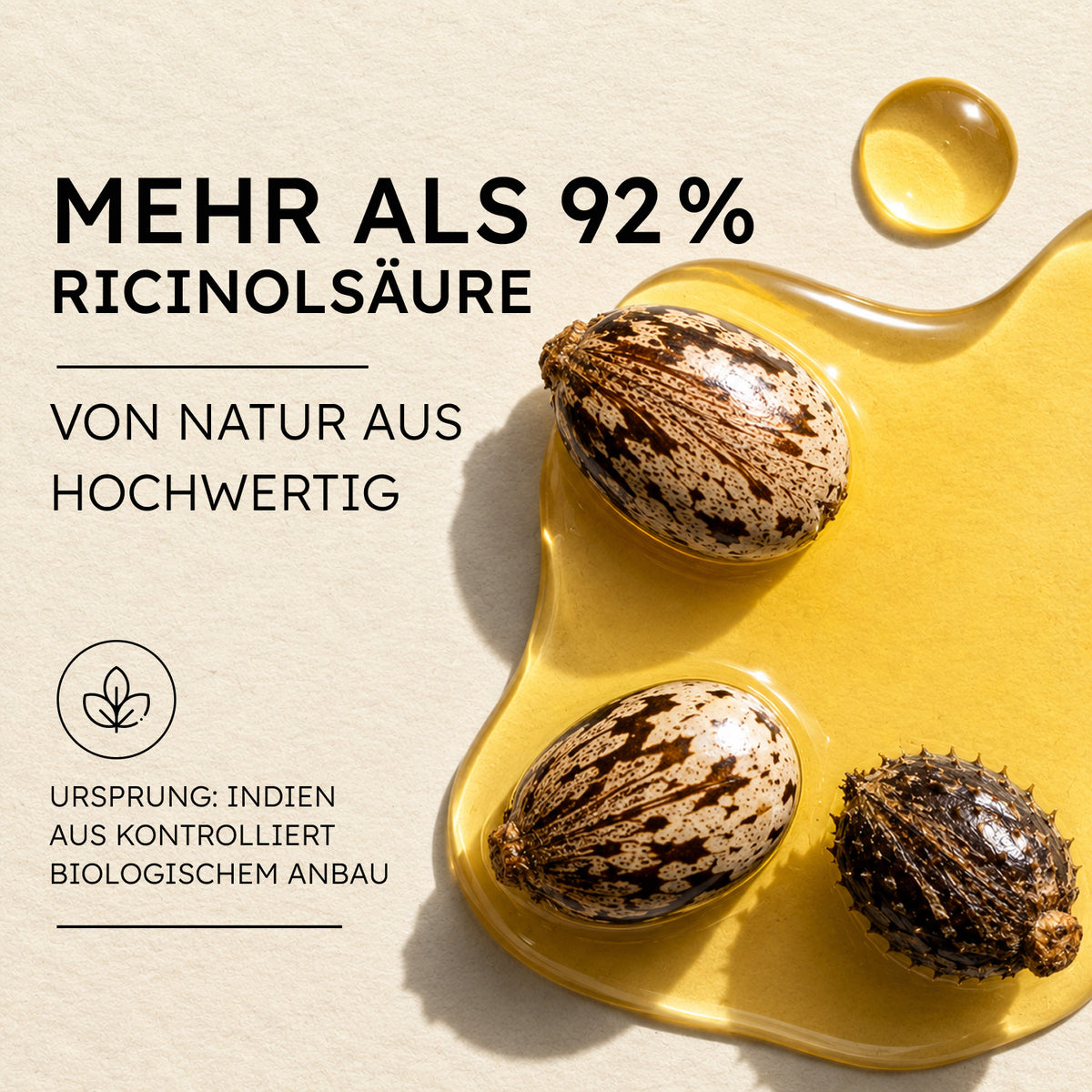 Rizinussamen und goldgelbes Öl mit Angaben zu Ricinolsäure und Bio-Anbau in Indien
